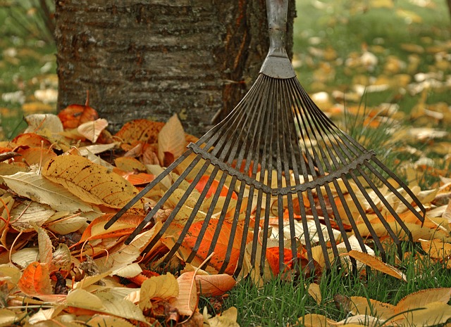 Zum Vorlesen lassen: Wie kann ich mich erfolgreich vor Gartenarbeit drücken?