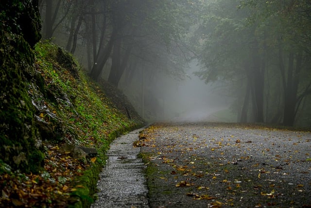 Wie der Herbst im Pfälzer Wald Einzug hält